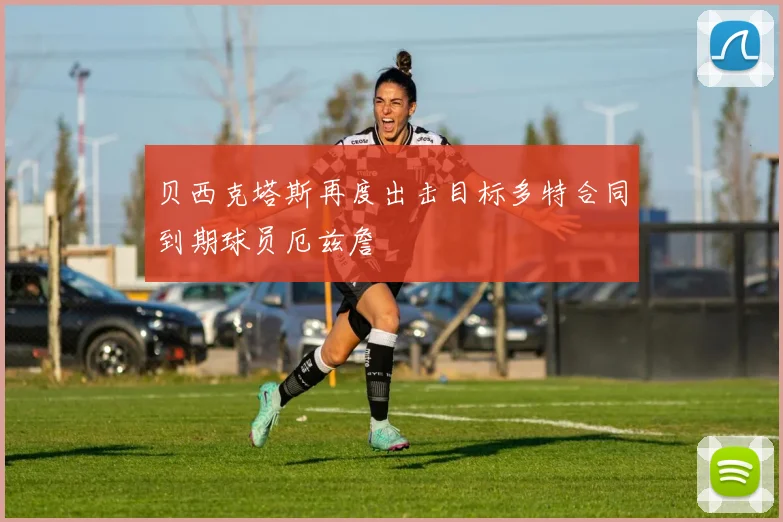 贝西克塔斯再度出击目标多特合同到期球员厄兹詹